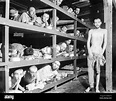Konzentrationslager gefangene -Fotos und -Bildmaterial in hoher ...