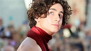 Timothée Chalamet: Evolución del actor en 22 fotos - Homosensual