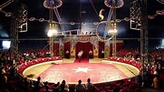 Zirkus in Deutschland: Die Zirkusfamilie Probst - Brauchtum - Kultur ...