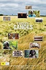 Twelve Canoes (película 2009) - Tráiler. resumen, reparto y dónde ver ...