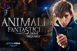 Animali fantastici e dove trovarli il primo film in streaming su Amazon ...