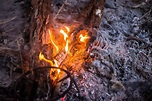 Fuego En Hoyo Del Fuego Del Aire Libre - Fuego Del Campo Imagen de ...