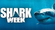 Shark Week Swims Off July 11 On Discovery With Most Hours Of Shark ...