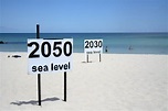 Interactive map of sea level rise | ZDNet