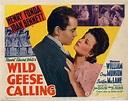 Image gallery for Wild Geese Calling - FilmAffinity