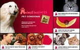 Animal Instincts Pet Condoms - San Francisco SPCA