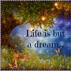 life-is-but-a-dream