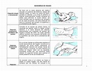 Maniobras DE Abdomen - Resumen Propedeutica medica - MANIOBRAS DE ...
