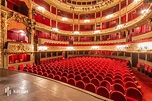 Théâtre du Gymnase Marie Bell - Séminaire & Soirée