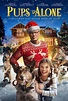 Pups Alone - 2021 filmi - Beyazperde.com