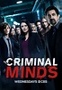 Mentes criminales Temporada 13 - SensaCine.com