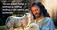 Eu sou o bom Pastor, e conheço as minhas ovelhas - MENSAGEM E FRASE DE ...