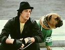 sylvester, Stallone, Rocky, Movies, 145, 2 Wallpapers HD / Desktop and ...