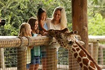 Visit the Jacksonville Zoo and Gardens | Check-It-Off Travel | Custom ...