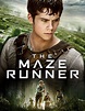 The Maze Runner: A Screenplay by David Lapeyrouse | Goodreads