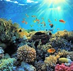 Das Rote Meer Ägypten ist das absolute Traum! Eine Erlebniswelt ...