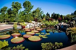 Water Gardening Basics - 2023 - The Hudson Gardens & Event Center
