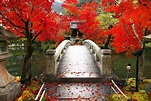 永觀堂（禪林寺） | Travel Japan - 日本觀光局（官方網站）