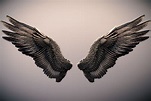 Wings 3d 3d modelling - grossezy