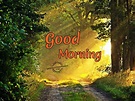 Good Morning Wishes - Good Morning Pictures – WishGoodMorning.com