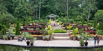 16 of the Most Beautiful Botanical Gardens in North Carolina