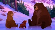 Brother Bear - Plugged In