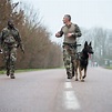 Équipier maître-chien : devenir équipier maître-chien dans l’armée de l ...