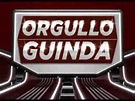 Orgullo Guinda - video institucional 2013 - YouTube