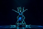 Llega la danza australiana: cuerpos más allá de los límites | EL ESPECTADOR