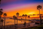 Wallpaper California USA San Clemente Beach Nature palm trees