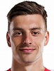 Michal Tomic - Profilo giocatore 23/24 | Transfermarkt