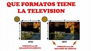 LA TELEVISION Y SUS FORMATOS DIFERENCIAS-CURSO DE TELEVISION POR CABLE ...
