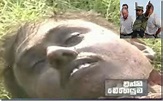 DefenceNet: Defence News from Sri Lanka: Several photos of dead LTTE ...
