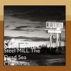 Amazon.com: Steel MILL The Dead Sea Chronicles: CDs & Vinyl