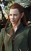 Tauriel Images Captain Tauriel Hd Wallpaper And Background - Evangeline ...