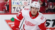 David Booth, with new perspectives, cherishing comeback with Red Wings ...