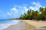 Plage de Martinique : Plages : Mer : Les Salines : Pointe Sud ...