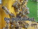 Die Bienenfabel: Selbstsucht - ein ethisches Prinzip? - Marburg