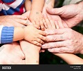 Family Holding Hands Image & Photo (Free Trial) | Bigstock