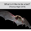 What is it like to be a bat? by Thomas Nagel — Reviews, Discussion ...