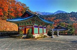 Sinheungsa Temple in Seoraksan National Park, South Korea (by patrick ...