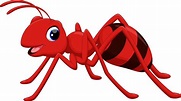Myra - Röd | Ants, Red ant, Free illustrations