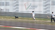 Senna bemused by dog - Eurosport