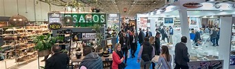 FOOD EXPO 2022: Strong comeback with physical presence - Foodexpo
