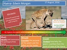 Hyena- Edwin Morgan | Teaching Resources