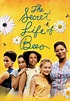 The Secret Life of Bees (2008) | Kaleidescape Movie Store