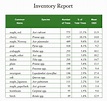 FREE 10+ Inventory Report Templates in Google Docs | MS Word | Pages | PDF