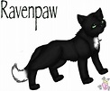 Ravenpaw is sweet and nice i love him he is soo cute :) | Warrior cat ...