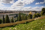 Mount of Olives | Land of the Bible