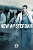 New Amsterdam Season 1 | Rotten Tomatoes